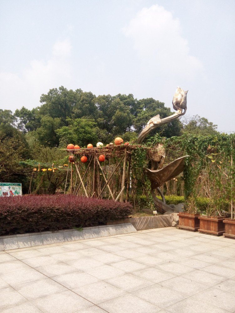 2019南山植物园-旅游攻略-门票-地址-问答-游记点评,重庆旅游旅游景点