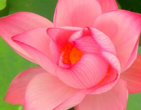 2018彭德怀故居与纪念馆门票,湘潭县彭德怀故