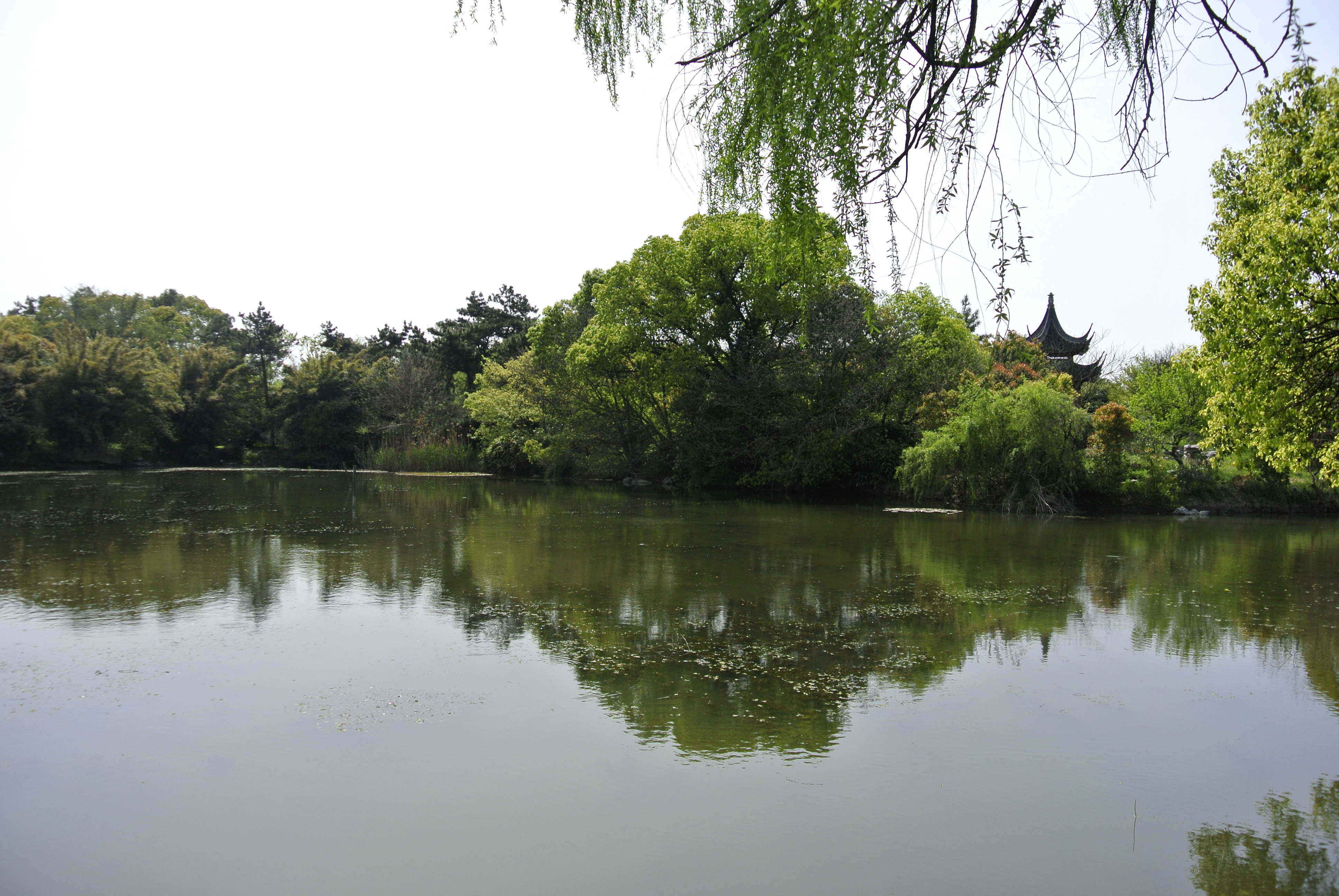 上海大观园梅园图片