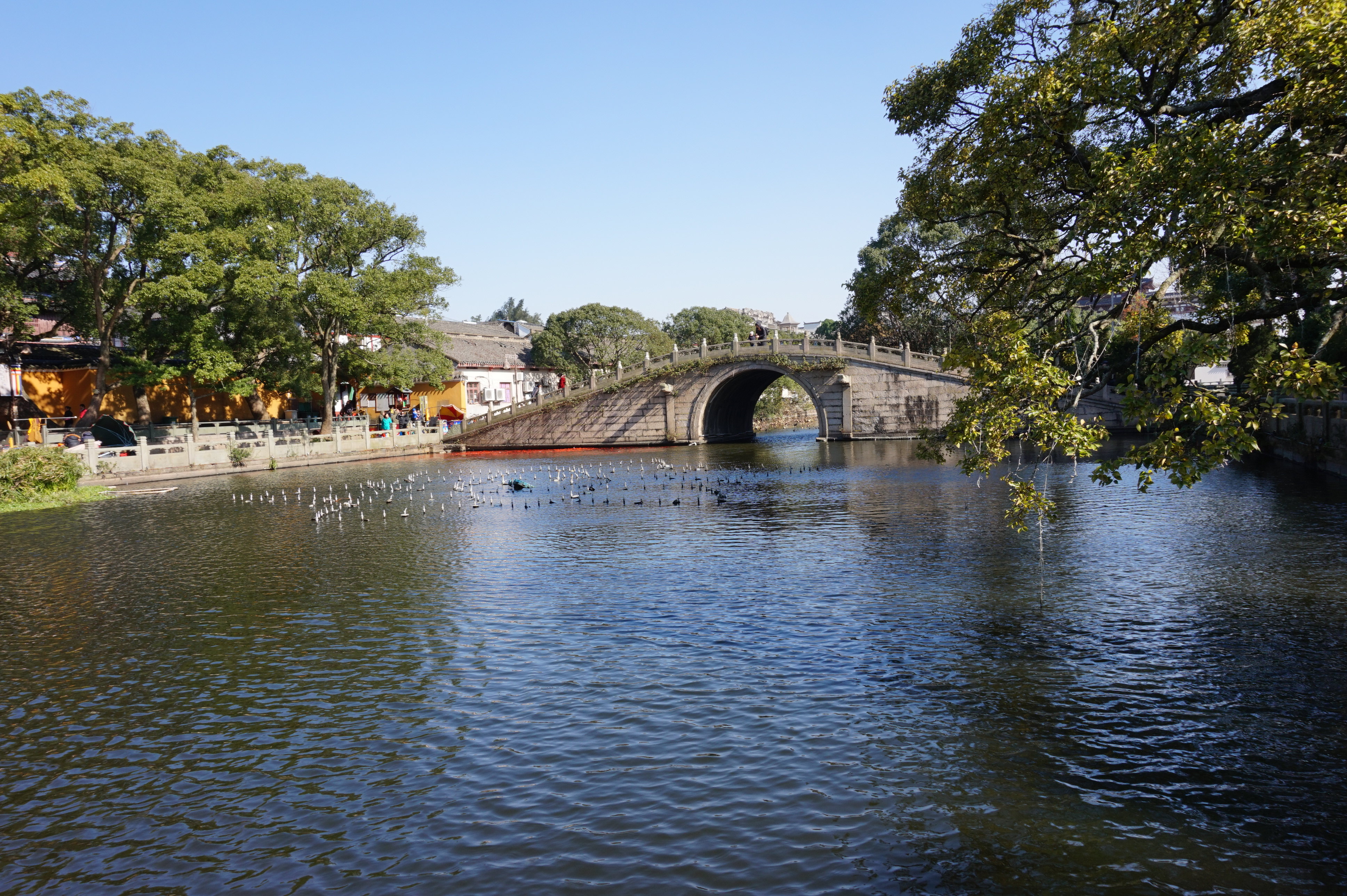 2020海印池-旅遊攻略-門票-地址-問答-遊記點評,普陀山旅遊旅遊景點