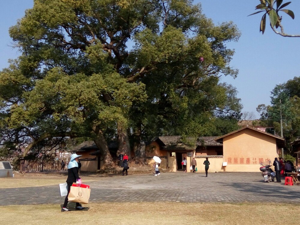 【攜程攻略】江西贛州瑞金紅井好玩嗎,江西紅井景點怎麼樣_點評_評價