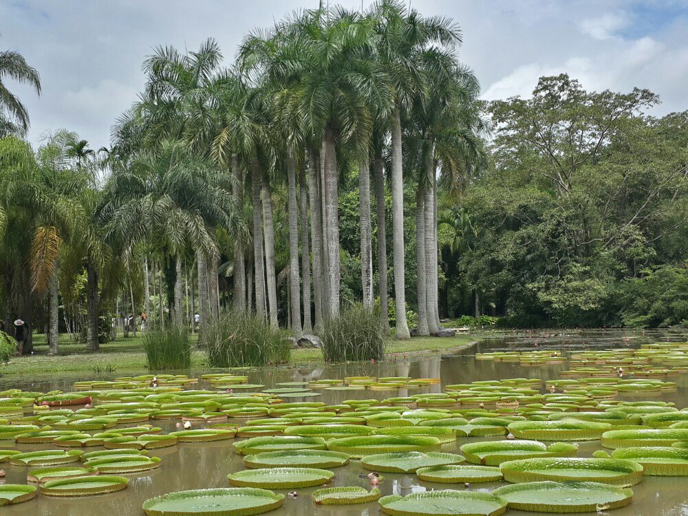 中科院西双版纳热带植物园