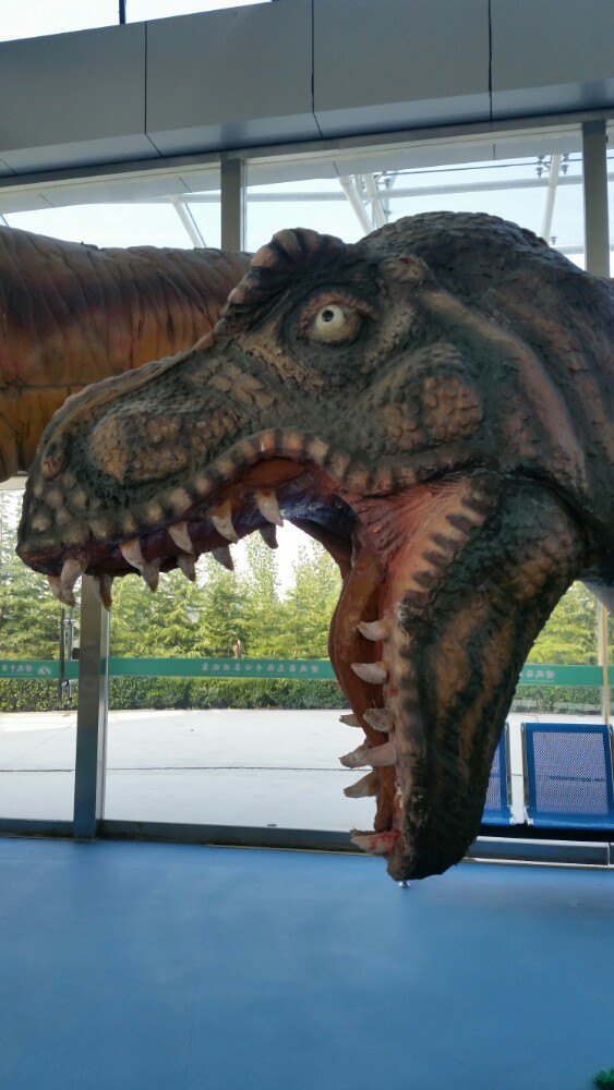 2022诸城恐龙之旅游玩攻略,孩子们很喜欢!大人们也看的.