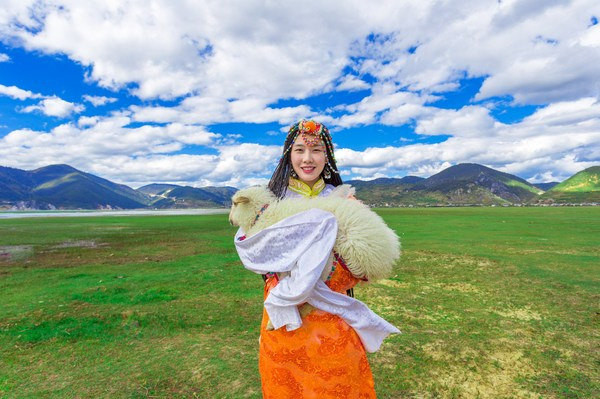 依拉草原依拉草原依拉草原依拉草原香格里拉纳岶海依拉草原http://source.qunar