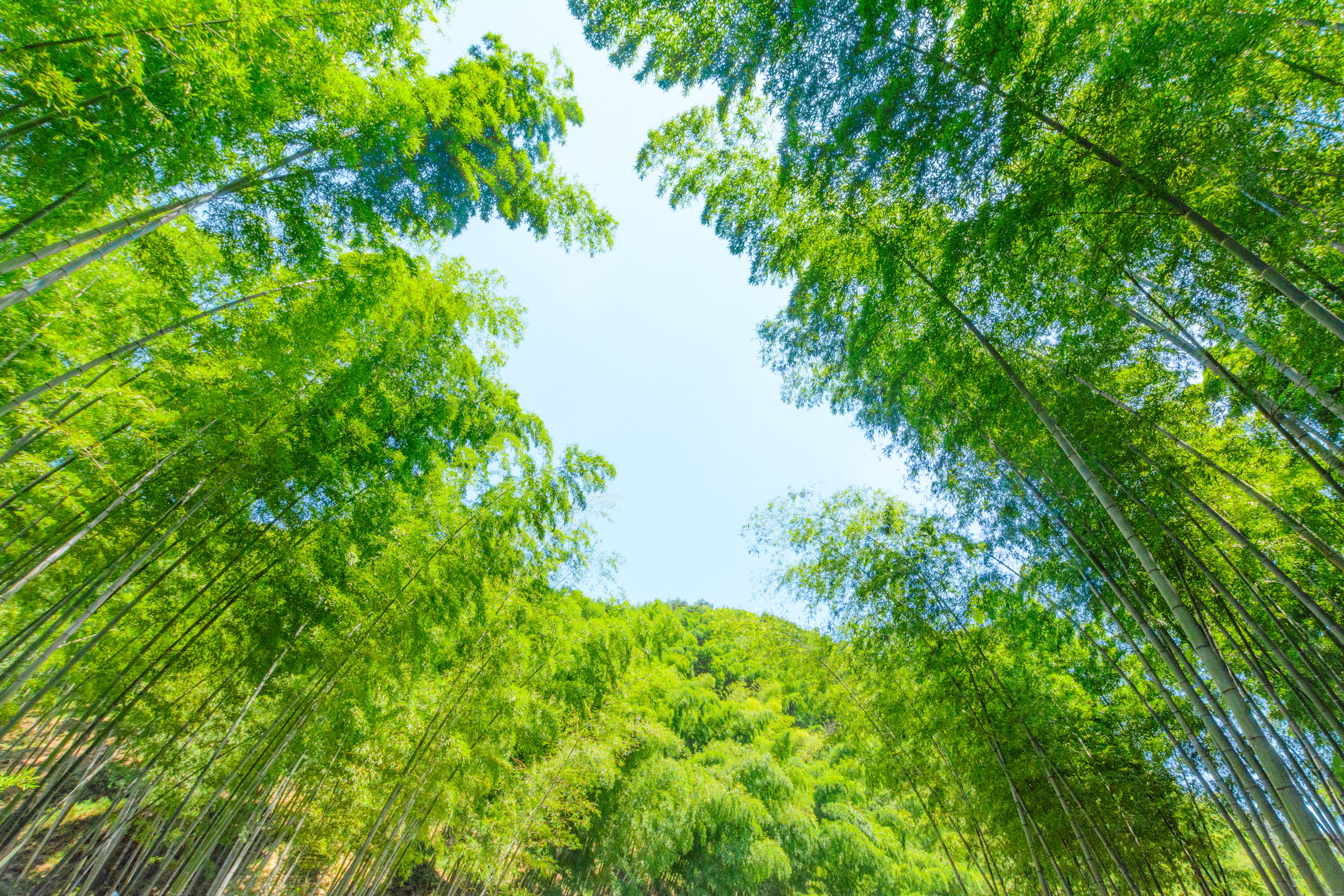 宜兴兰山旅游度假区图片