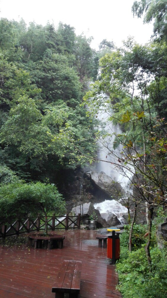 2019大圍山國家森林公園-旅遊攻略-門票-地址-問答-遊記點評,瀏陽旅遊