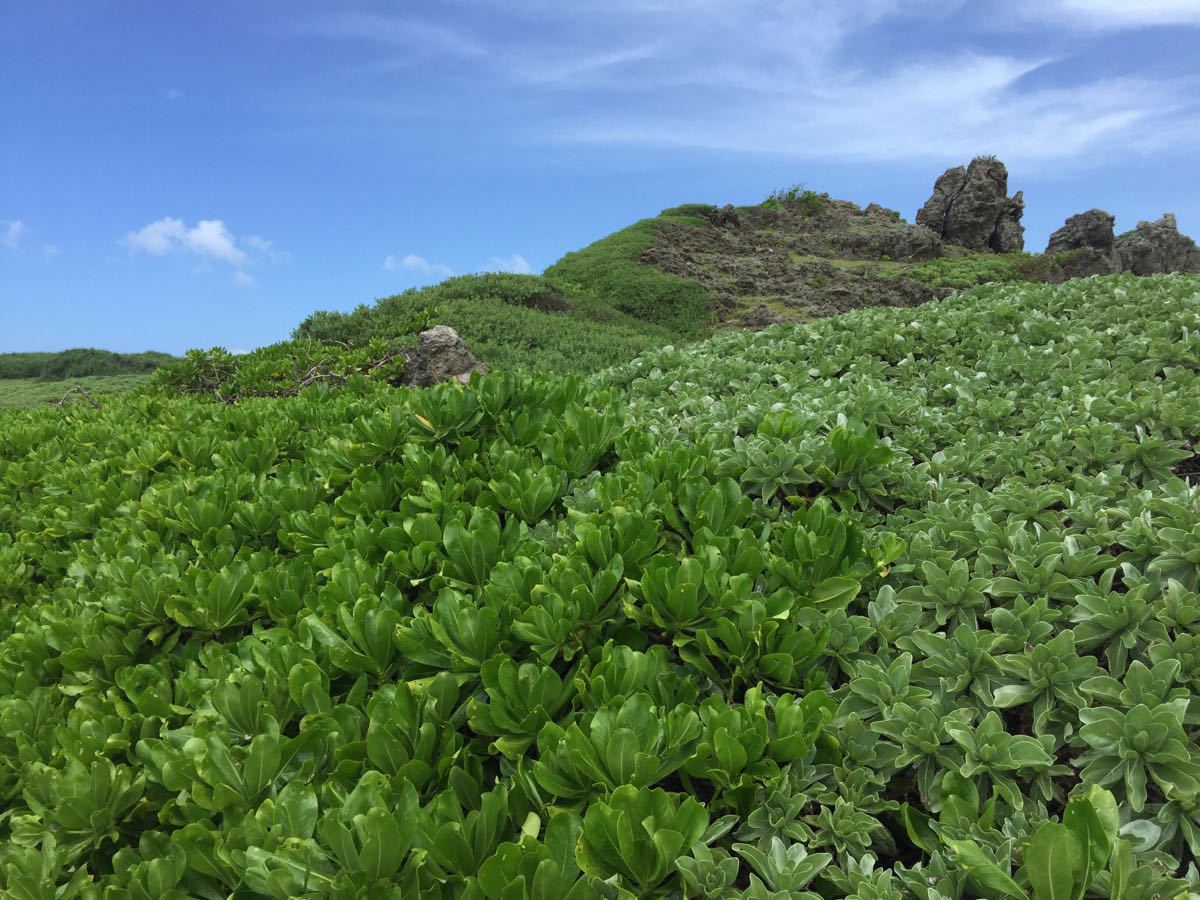 龙坑生态保护区
