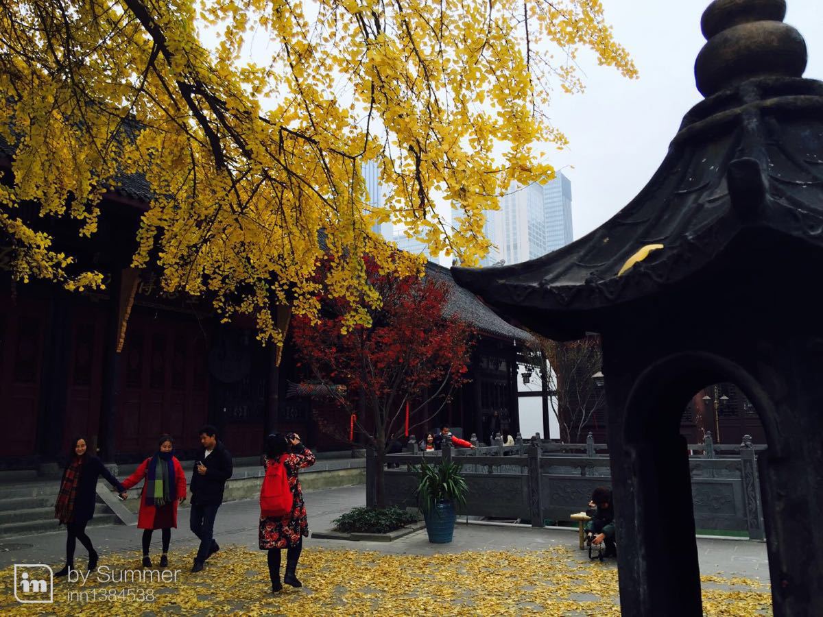 2019大慈寺_旅遊攻略_門票_地址_遊記點評,成都旅遊景點推薦 - 去哪兒