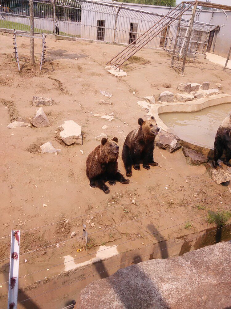 淮安動物園