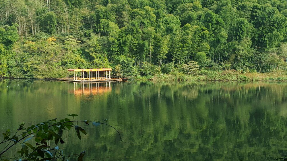 【攜程攻略】溧陽南山竹海景點,空氣質量沒話說!大片的竹林!