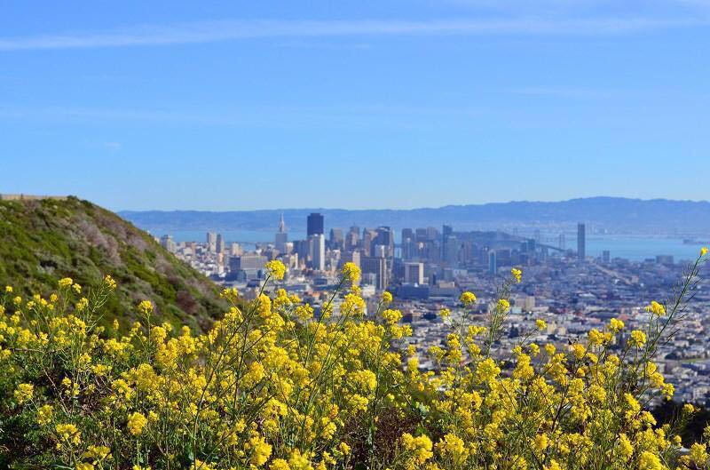 2019双子峰_旅游攻略_门票_地址_游记点评,旧金山旅游景点推荐 - 去
