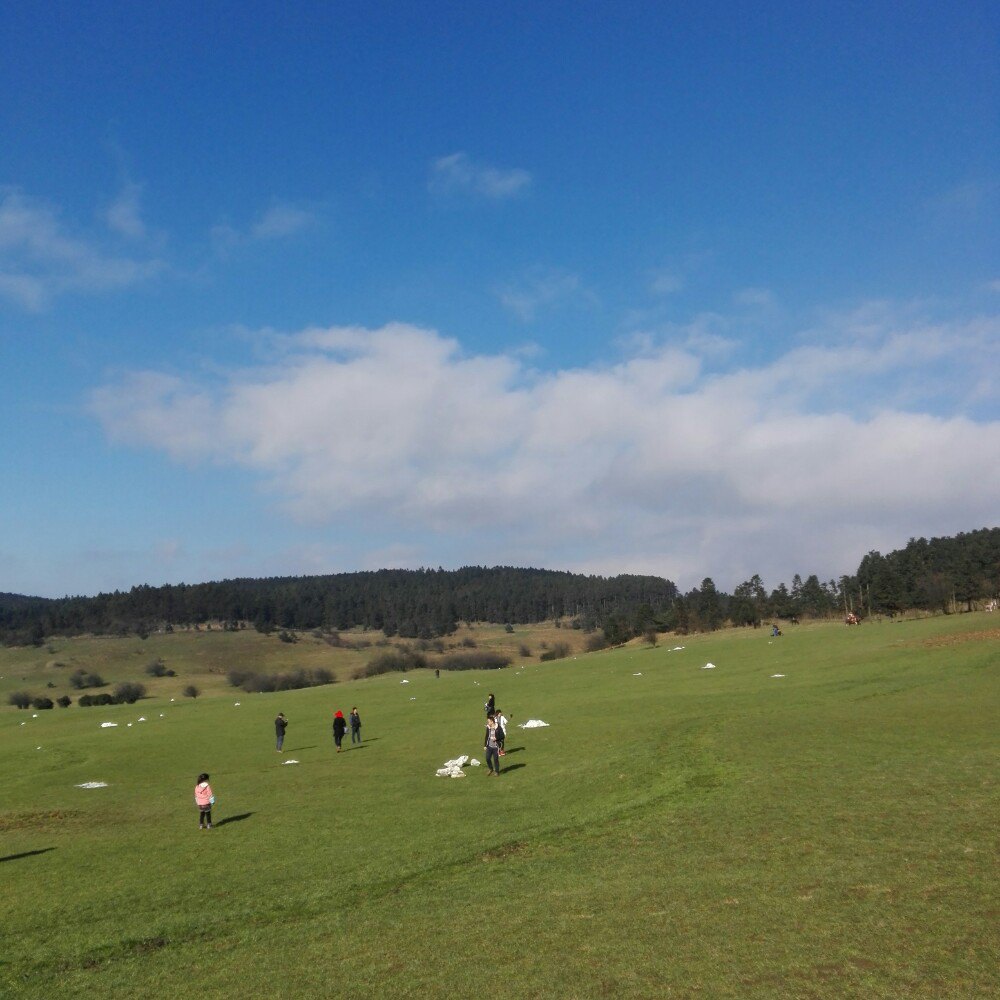 仙女山國家森林公園