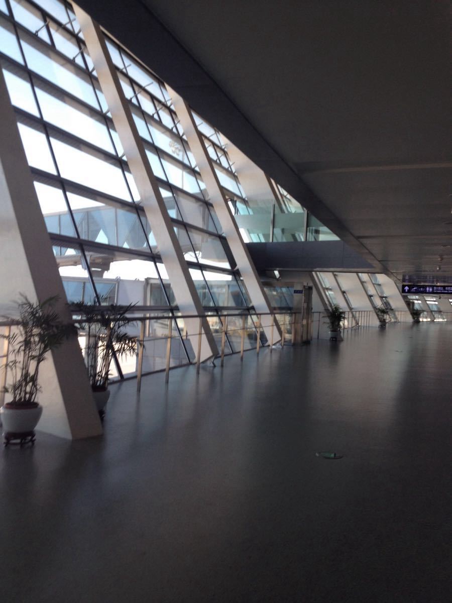 新桥机场图片真实图片