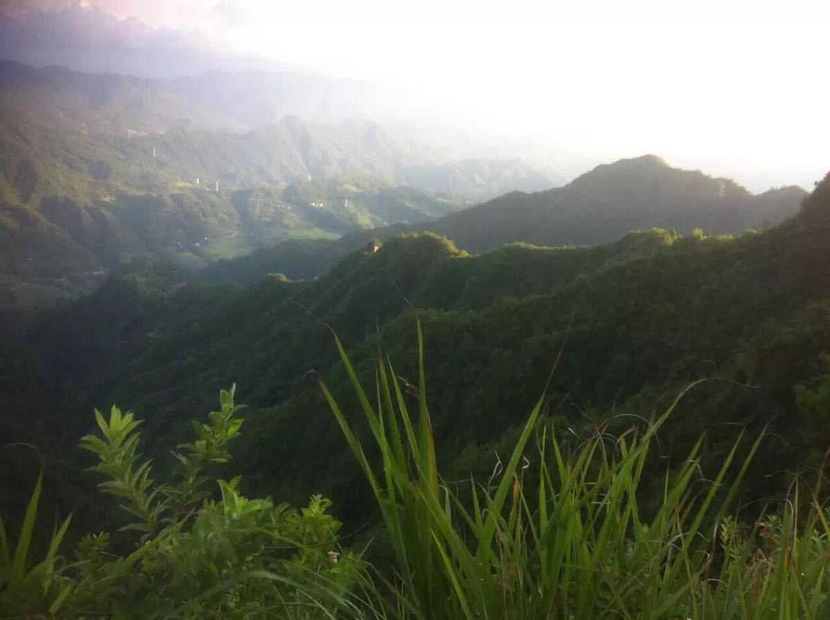 龍骨寨風景區