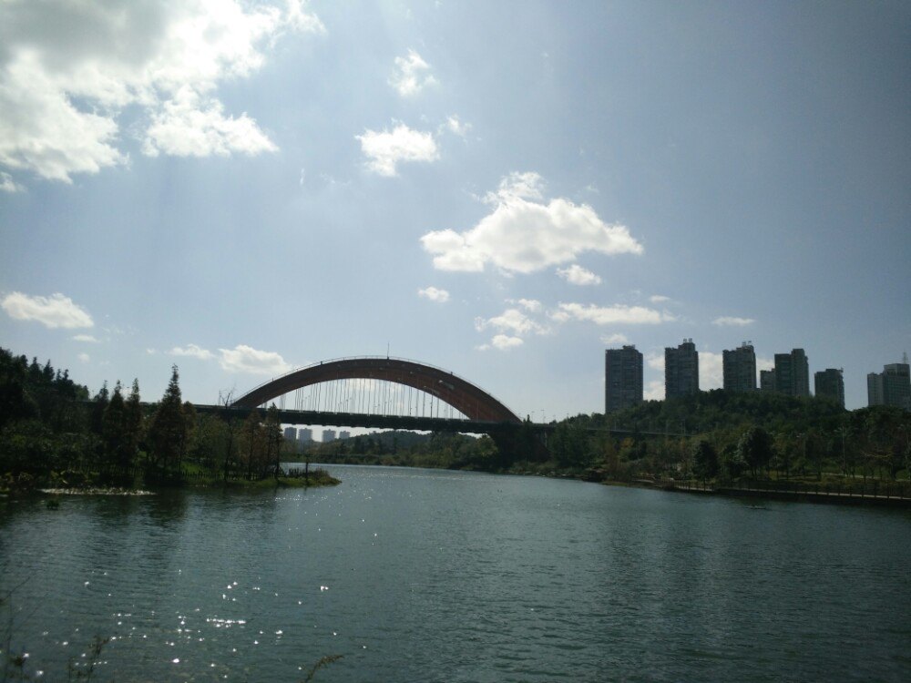 【攜程攻略】貴州觀山湖公園景點,值得,水鄉植物,水禽眾多,風光秀麗