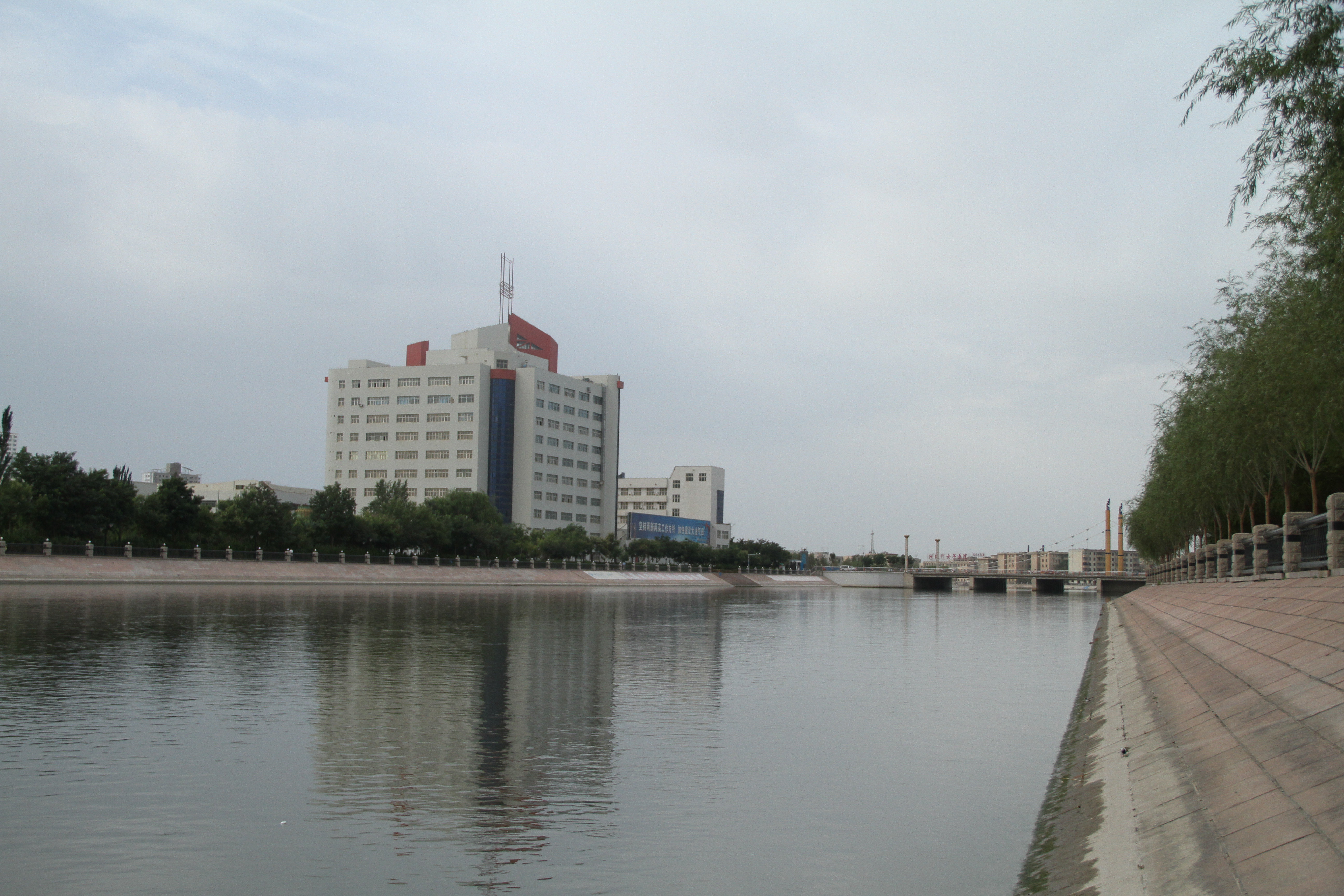 孔雀河古河道图片