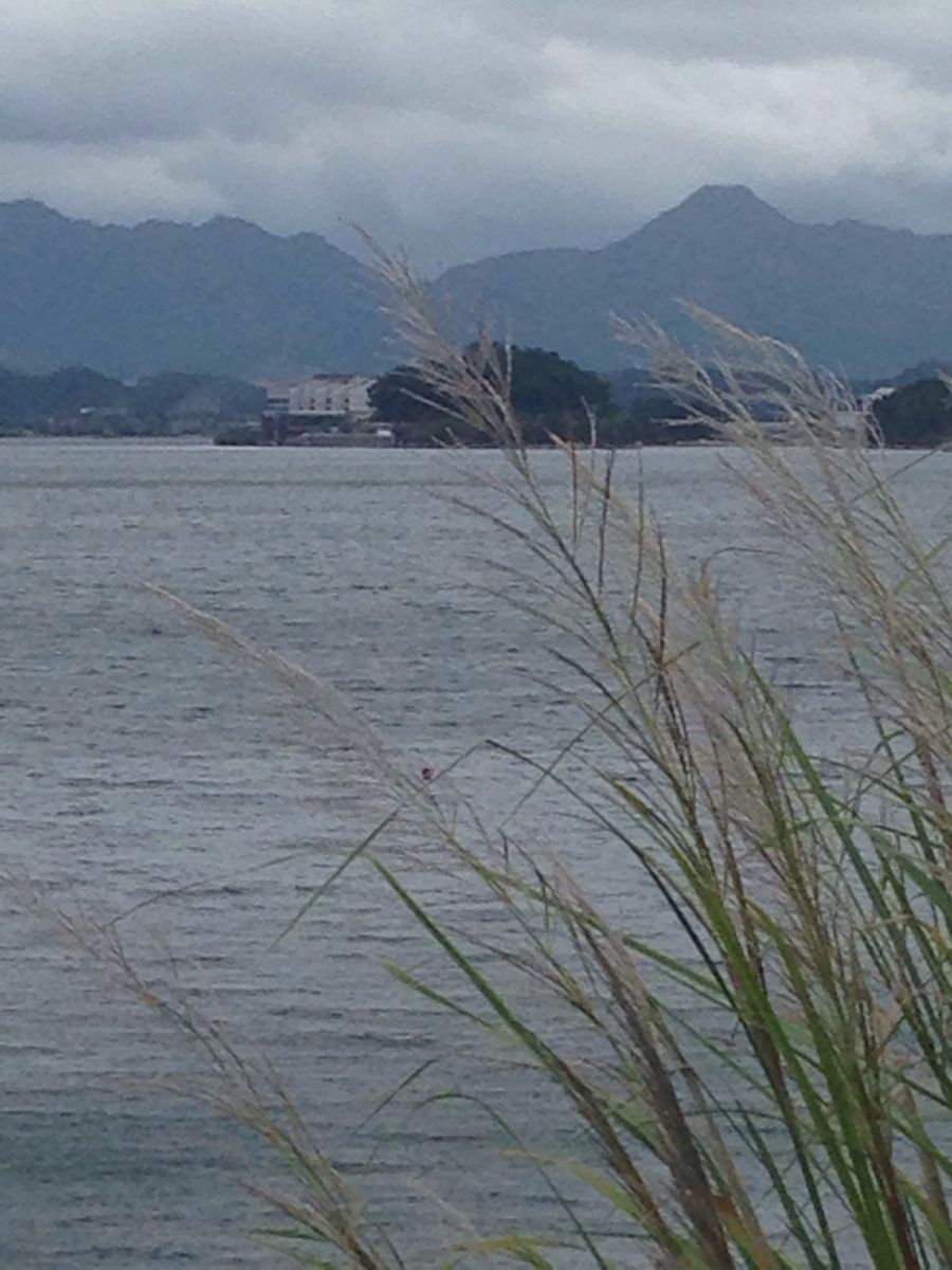 2021千岛湖宋家渔村蓝泊湾景区玩乐攻略,过山船好玩,捞鱼小朋友很喜.