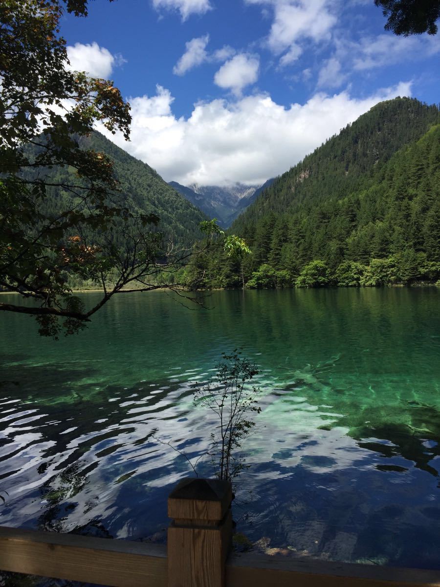 【携程攻略】四川阿坝九寨沟九寨沟风景区好玩吗,四川九寨沟风景区
