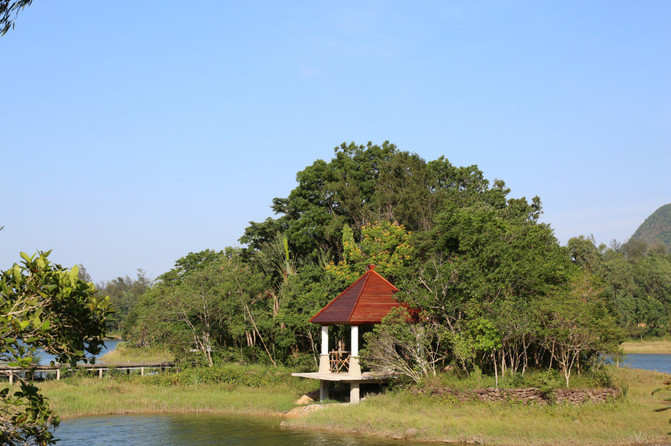 万宁兴隆经济总量_海南万宁兴隆旅游景点