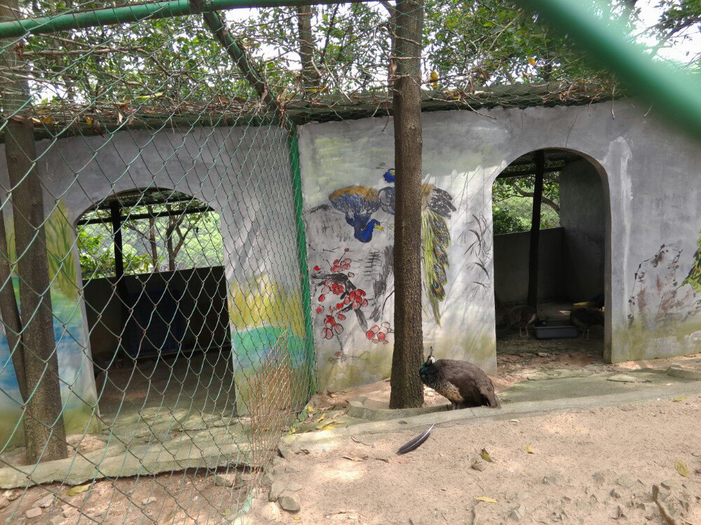 龙凤山庄影视度假村