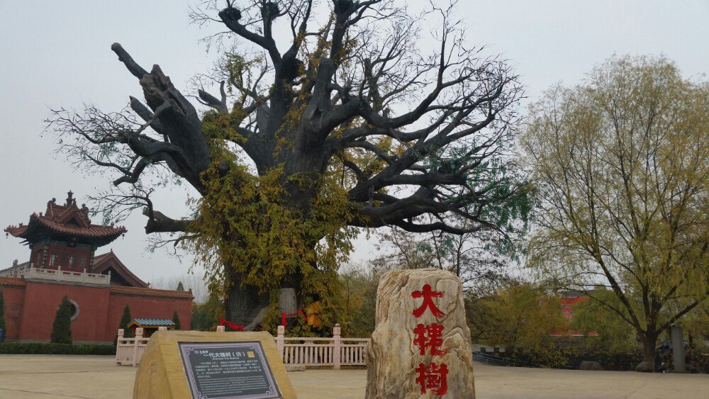 洪洞大槐树寻根祭祖园