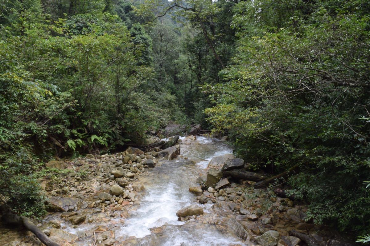 南嶺國家森林公園