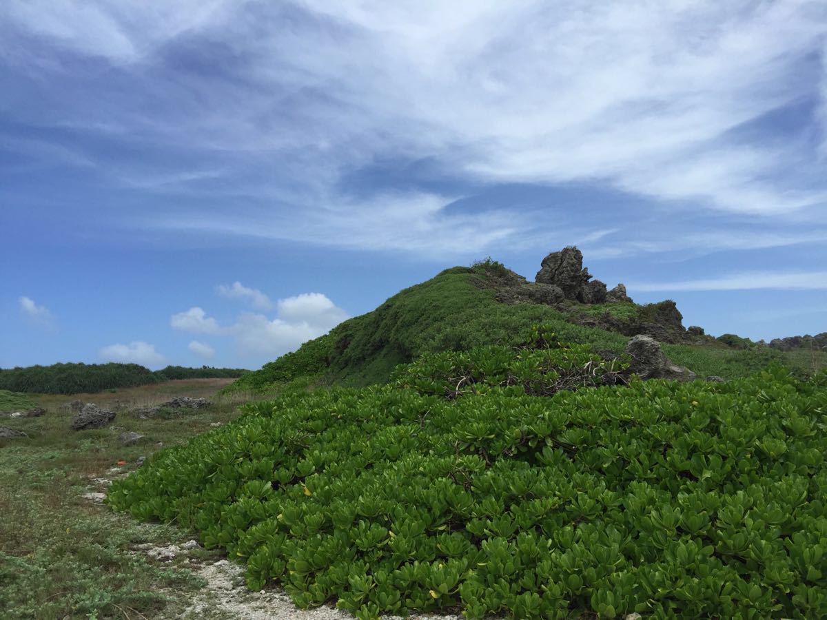 龙坑生态保护区