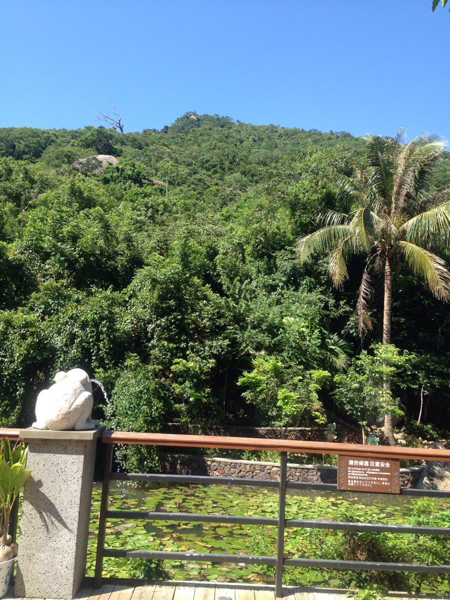 【携程攻略】海南亚龙湾景点,去过热带雨林,风景很不错,市区很热,这里