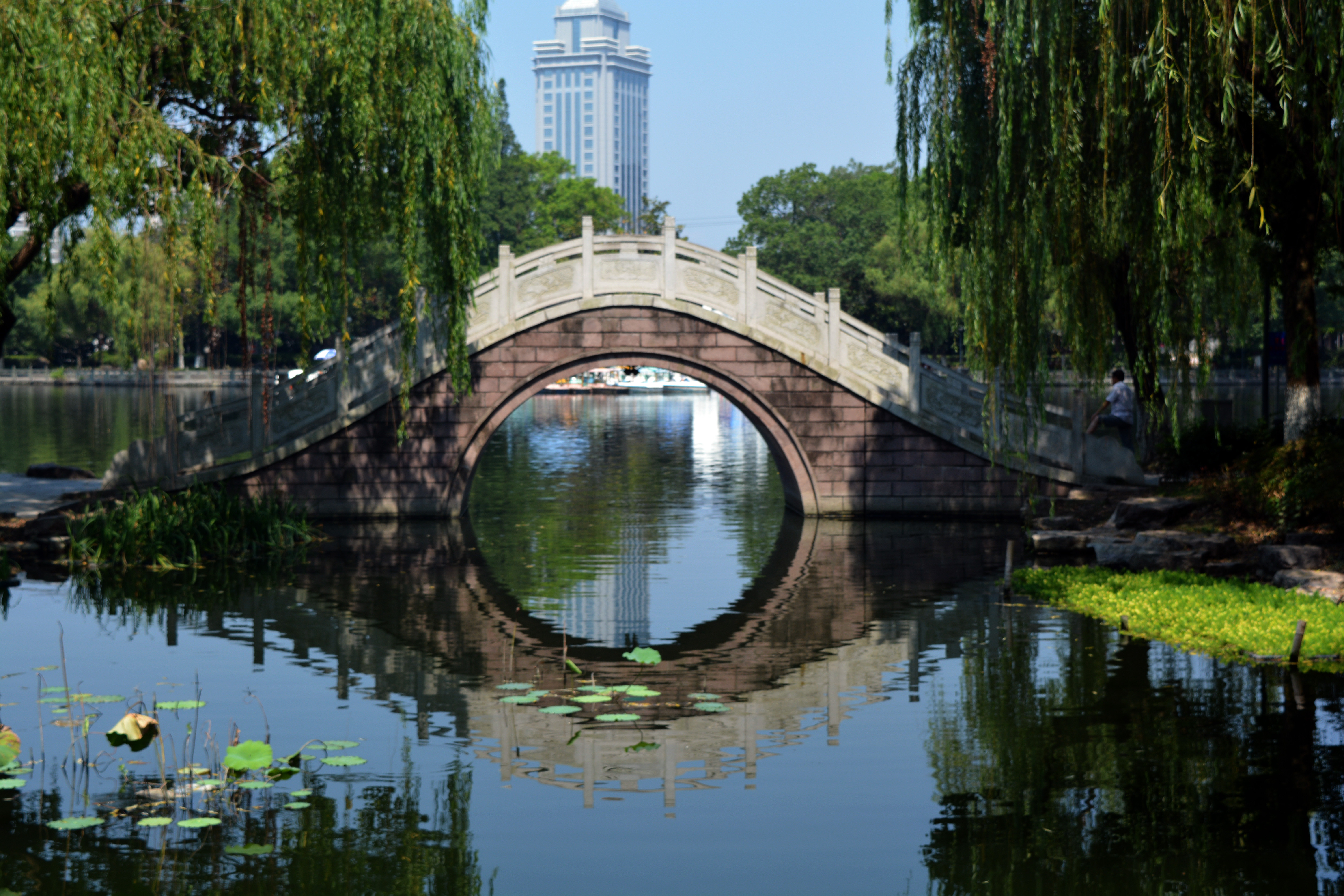 【攜程攻略】寧波月湖公園適合單獨旅行旅遊嗎,月湖公園單獨旅行景點