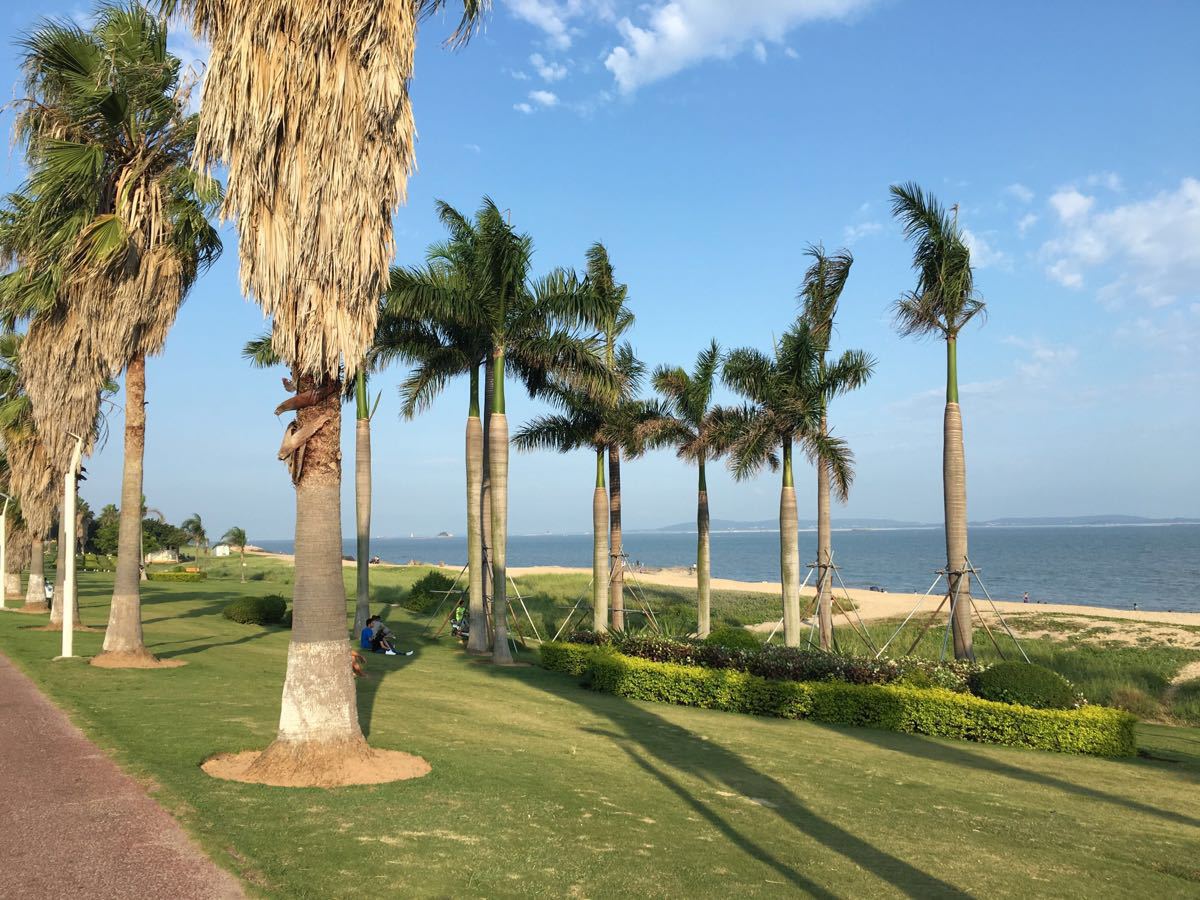 【携程攻略】福建环岛路景点,厦门最值得玩的景点之一,路旁无敌海景