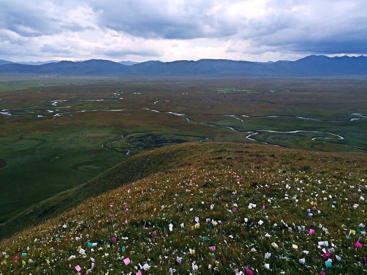 日曲卡雪山尕玛尔草原图片