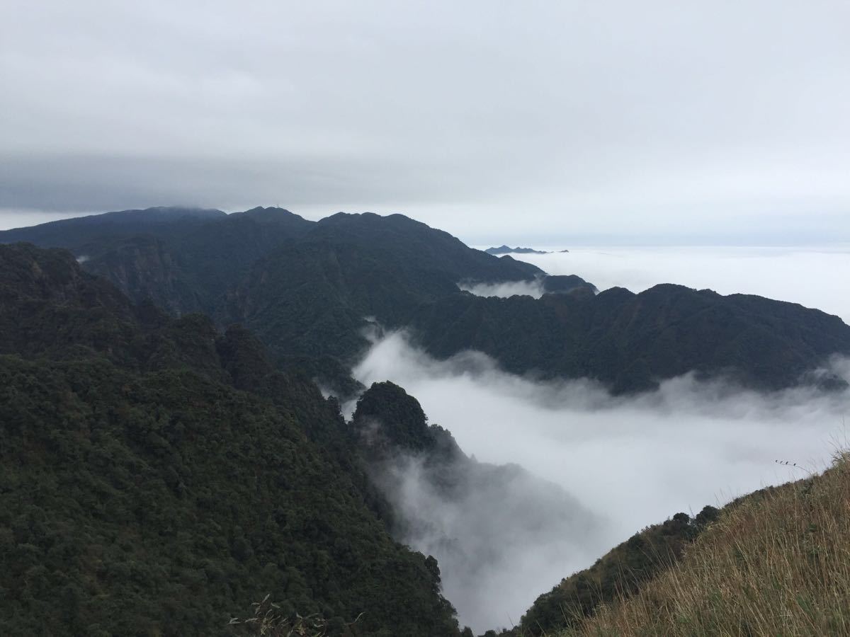 【攜程攻略】廣西南寧大明山好玩嗎,廣西大明山景點怎麼樣_點評_評價