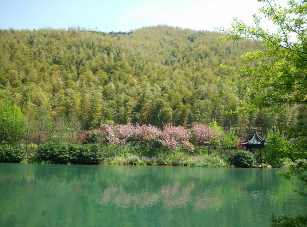 【攜程攻略】天目湖南山竹海景點,非常美的地方,還有動物表演.