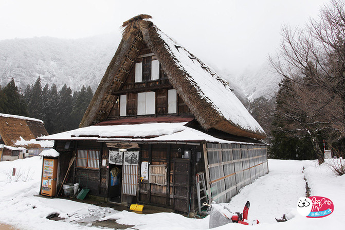 【日本岐阜】前进白色童话村
