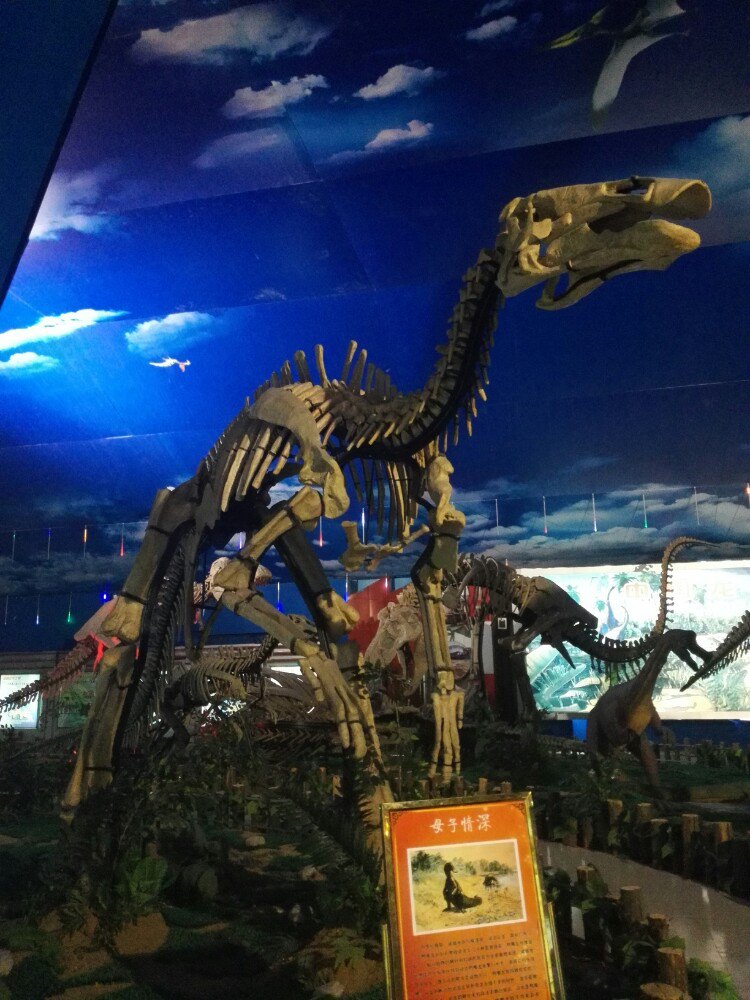 诸城恐龙文化旅游区