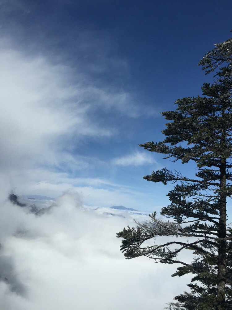 西岭雪山
