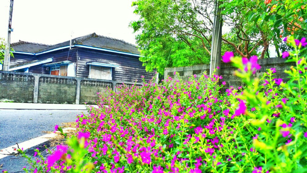 花莲花东纵谷好玩吗,花莲花东纵谷景点怎么样_点评_评价【携程攻略】