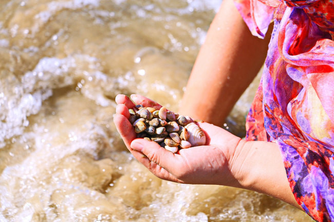 感观世界的美丽,拍摄三亚的风趣