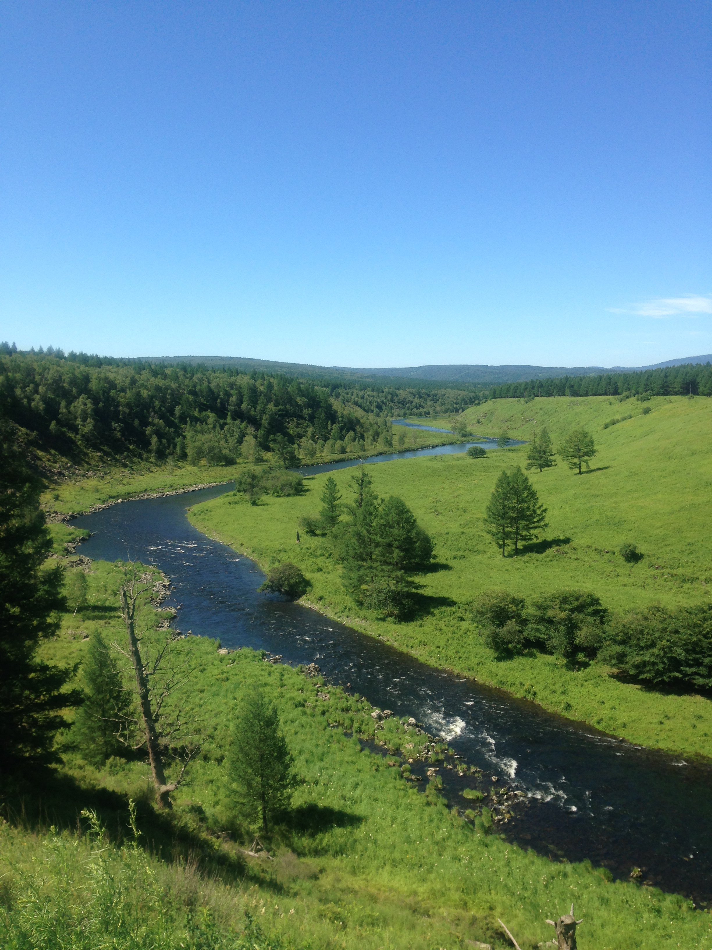 公园适合朋友出游旅游吗,阿尔山国家森林公园朋友出游景点推荐/点评