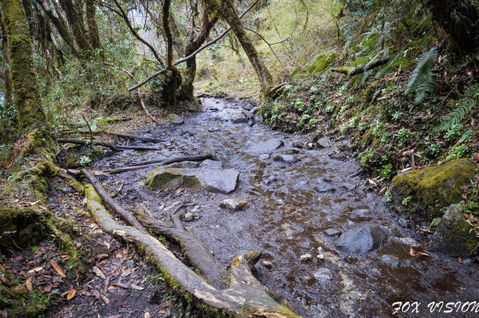 辞职旅行37天记~从拉萨到加德满都博卡拉AB