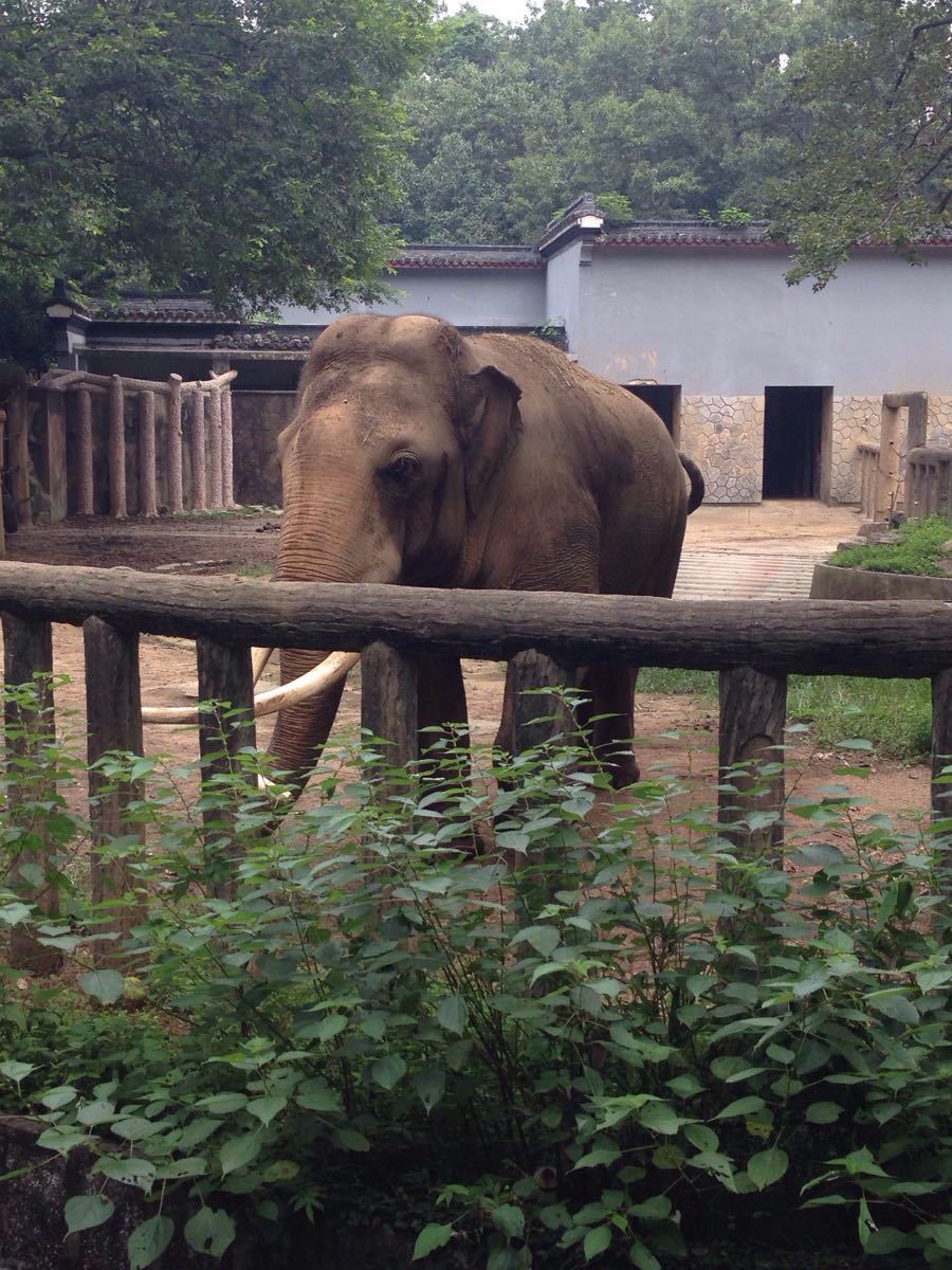 杭州動物園