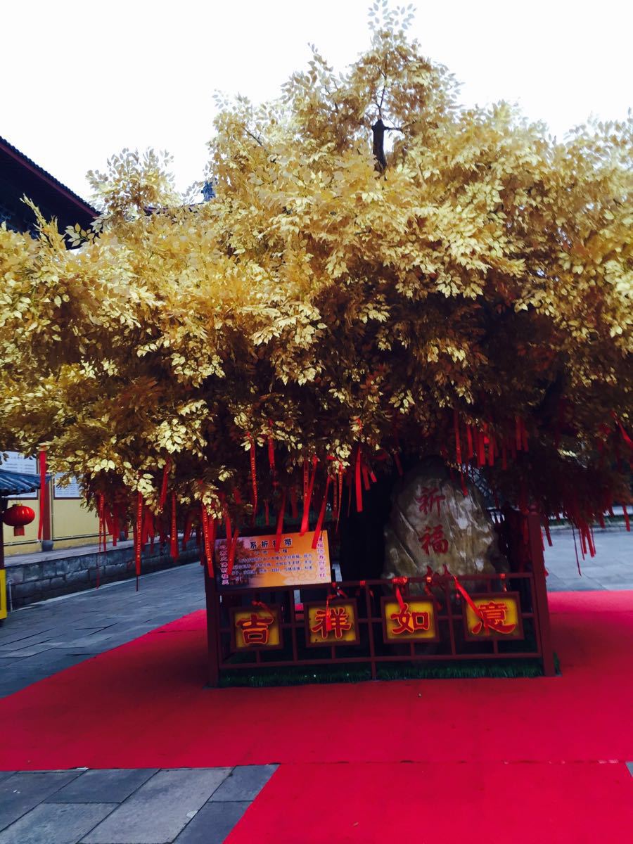 【携程攻略】浙江大智禅寺景点,比较喜欢里面的祈福树,好漂亮,黄金色
