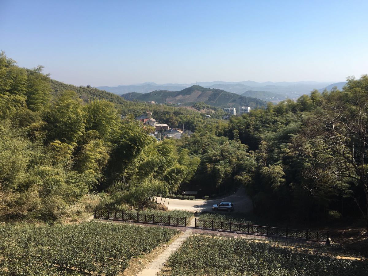 莫干山景區旅遊景點攻略圖