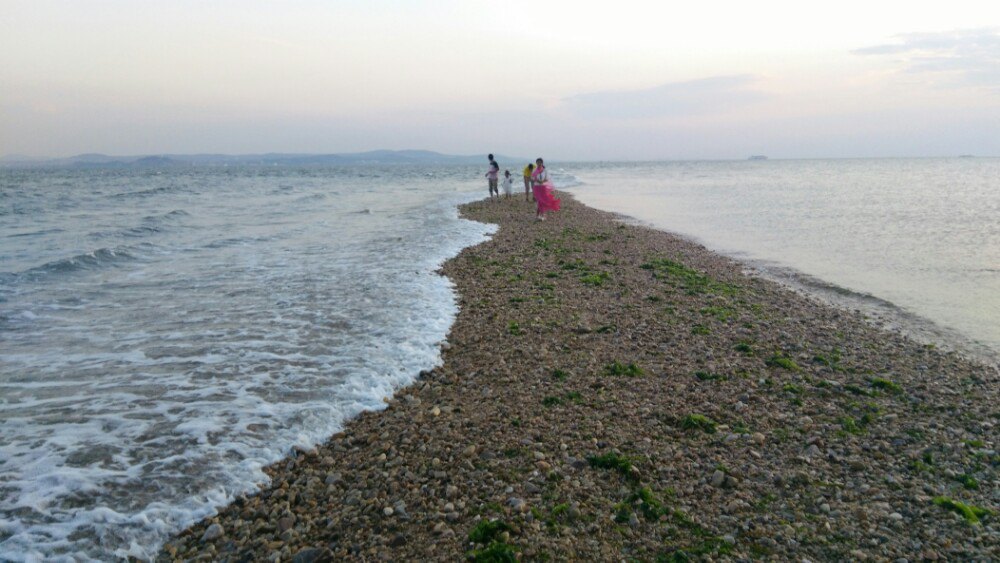 長島黃渤海分界線