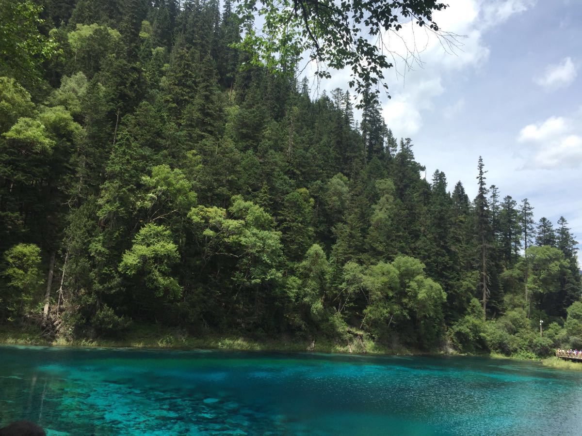 2019五彩池_旅遊攻略_門票_地址_遊記點評,九寨溝旅遊景點推薦 - 去