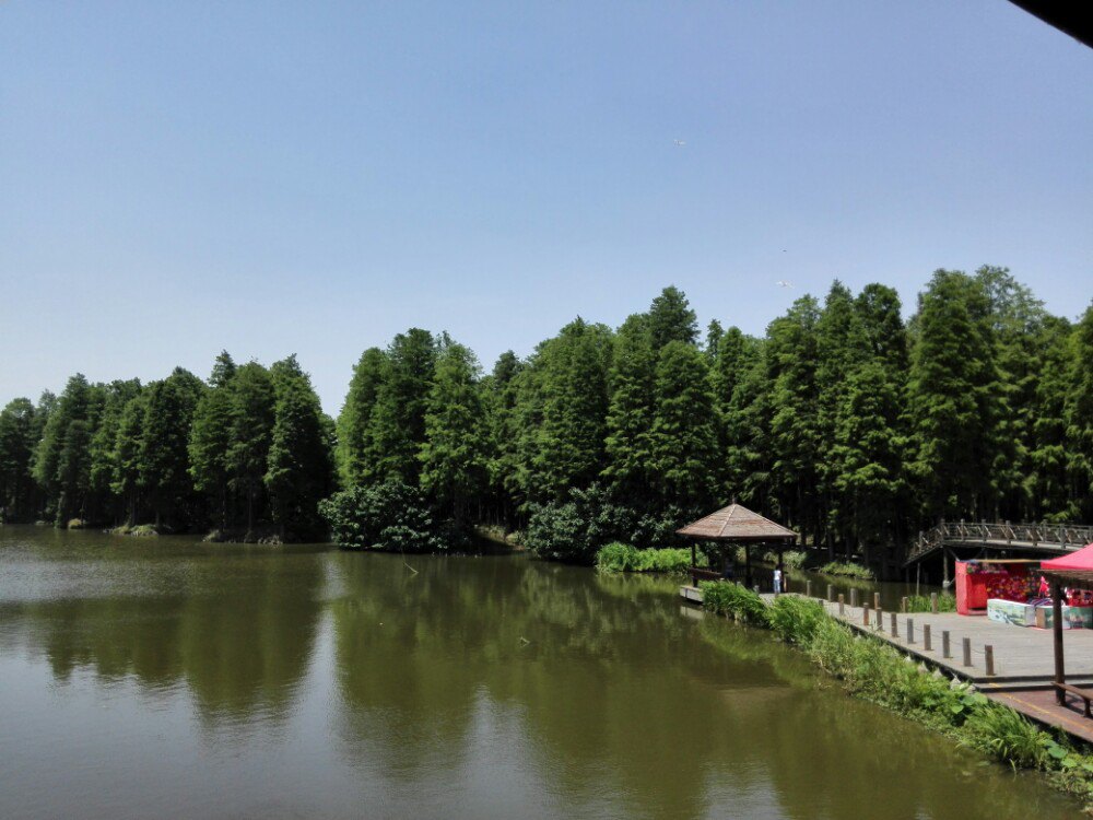 李中水上森林公園