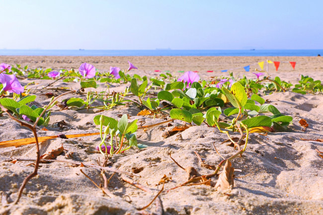 感观世界的美丽,拍摄三亚的风趣