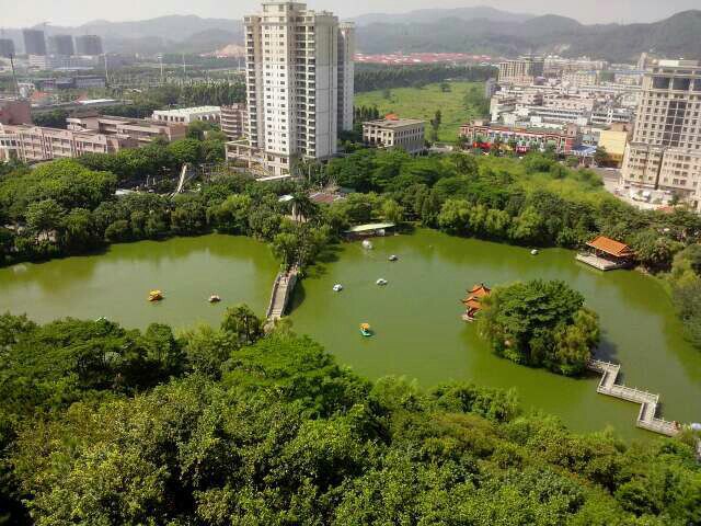 2019長安公園_旅遊攻略_門票_地址_遊記點評,東莞旅遊景點推薦 - 去