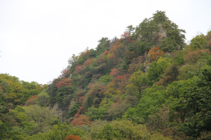 一个适合周末游玩的景点---红河谷
