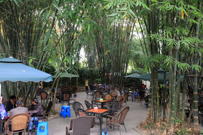 望江公园在哪呀 CggYGVY_51uASNxxADzmcFXkkLU318_R_671_10000_Q90.jpg?proc=autoorient